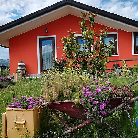 Giuggiolando LʼAquila